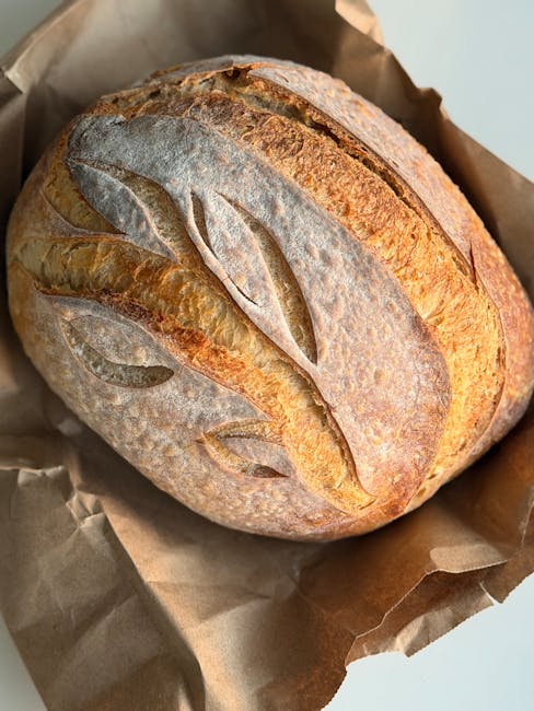 Pain au levain : mon guide complet pour démarrer