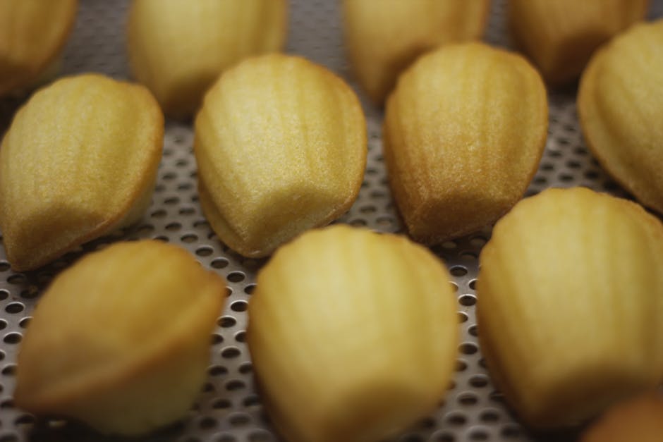 Madeleines en forme de coquillage disposées sur une assiette